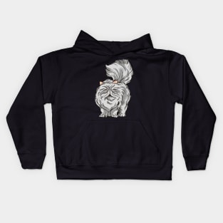 Persian cat - fluffy & beautifull - Gift idea for cat fans Kids Hoodie